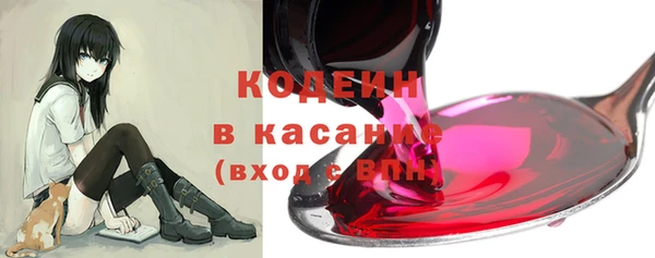 индика Ростов