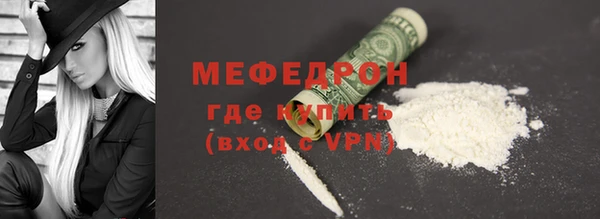 индика Ростов