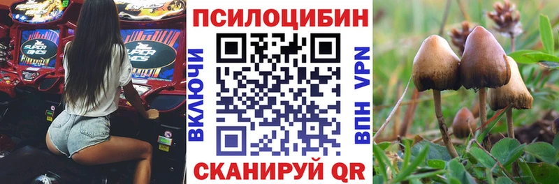 хочу   Болохово  Псилоцибиновые грибы ЛСД 